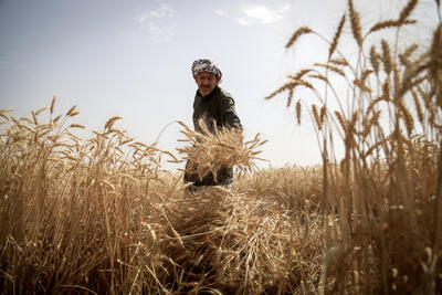  خودکفایی؛ راه‌حل یا تلـــــــــه؟