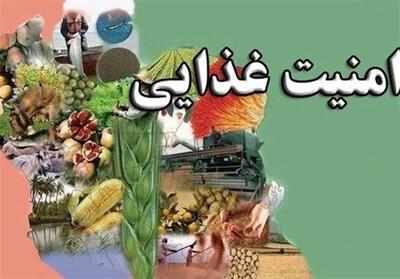  از شکست پروژه دشمن برای برهم زدن امنیت غذایی ایران تا تولید ۱۳.۵ میلیون تنی گندم و خودکفایی ۸۵ درصدی