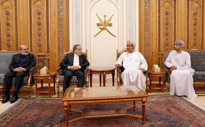  بقائی: روابط ایران-عمان، رابطه‌ای ممتاز و نمونه است