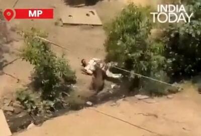  حمله پلنگ وحشی به اهالی یک روستا