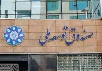 برداشت یک میلیارد دلار از صندوق توسعه ملی برای تأمین کالاهای اساسی
