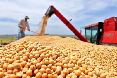  جزئیات بدهی ۲میلیارد دلاری دولت به تامین کنندگان نهاده‌های دامی