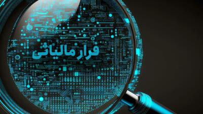  وصول ۳۸ همت مالیات و جرایم از محل کتمان درآمد در سال ۱۴۰۴