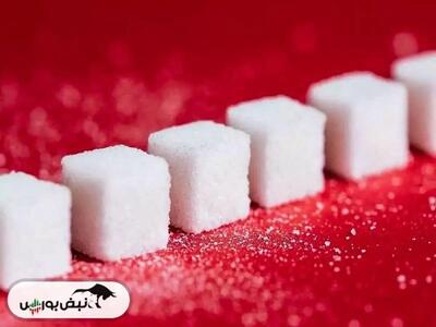  قشرین مجمع برگزار می کند