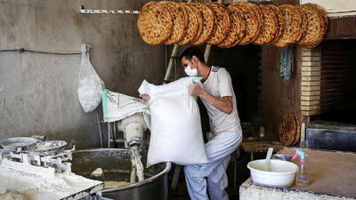  قیمت نان تا پایان خرداد تعیین تکلیف می شود