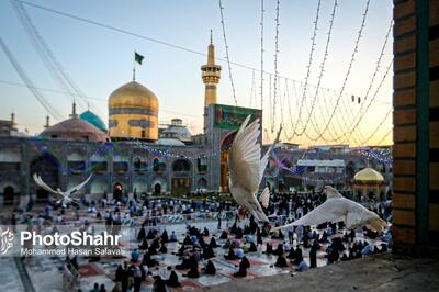  رشد ۳۰ درصدی حضور زائران در دهه کرامت در مشهد | آیا مشهد روز میلاد امام رضا (ع) تعطیل خواهد بود؟
