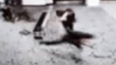  ویدیویی که ترامپ از لحظه آغاز تیراندازی منتشر کرد