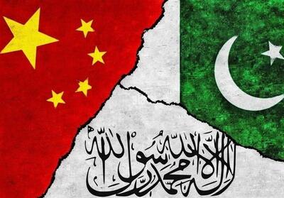  چین: تروریسم مسئله اصلی تنش طالبان و پاکستان است - تسنیم