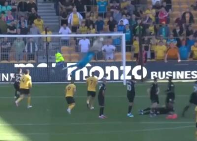  آن شیرجه عجیب برای بازگشت از نیستی!