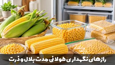  رازهای نگهداری طولانی مدت بلال و ذرت + روش های تازه نگه داشتن بلال و ذرت