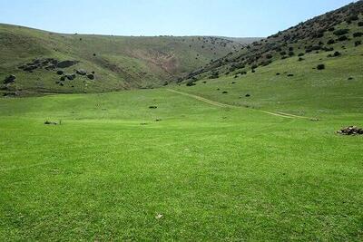  برآورد تولید ۹.۲ میلیون تن علوفه در مراتع کشور