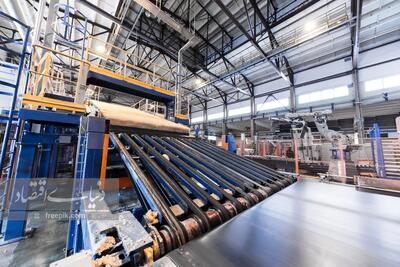  تدوین بسته‌هایی برای حمایت از بخش تولید تدوین