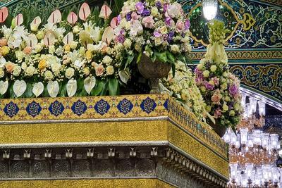  گل آرایی ضریح مطهر امام رضا(ع) در دهه کرامت + تصاویر