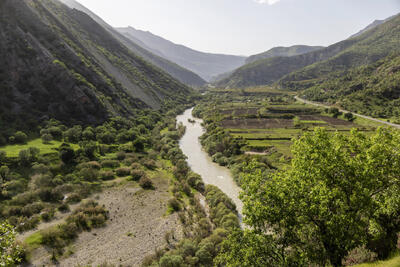  جلوه‌های بهاری در مشایخ