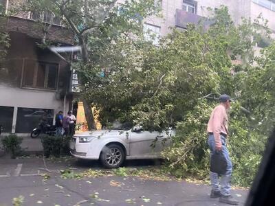  سرعت وزش باد در تهران به ۹۰ کیلومتر بر ساعت رسید!
