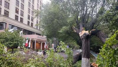  طوفان امروز ۶ تهرانی را به بیمارستان کشاند