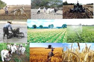  تنگه هرمز چطور در حال تغییر شاخص جهانی غذا و کشاورزی دنیاست؟