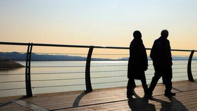  ماجرای حشرات ریز دریاچه شهدای خلیج فارس چیست؟ / پشه آئدس نیست