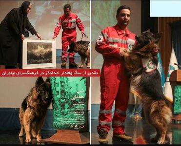  وقتی تهرانی ها برای یک سگ به احترام ایستادند/ تقدیر از  لئو   که چهار نفر را از زیر آوار نجات داد