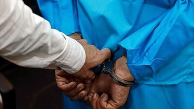  دستگیری عامل ارسال تصاویر حساس به شبکه‌های معاند در سروستان