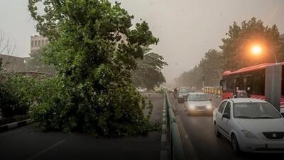  سرعت وزش باد در تهران به ۹۰ کیلومتر بر ساعت رسید