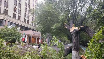  آماری از مصدومان طوفان امروز تهران