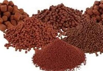  ظرفیت تولید خوراک آبزیان در استان مرکزی به 140 هزار تن افزایش یافت - تسنیم