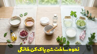 نحوه ساخت شیر پاک کن خانگی برای پوست ها خشک و چرب