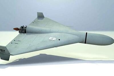  از پهپاد شاهد ۱۳۶ آبی و صورتی رونمایی شد