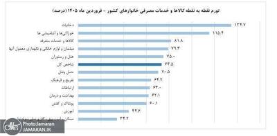  تورم ۵۳.۷ درصدی در فروردین ۱۴۰۵؛، خوراکی‌ها با تورم بالای ۱۱۵ درصد پیشتاز