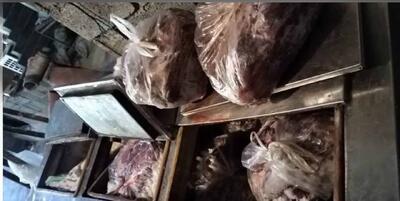  کشف گوشت گراز در شهرستان ساری