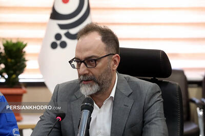  سهیل حسین پور مدیرعامل ساپکو شد