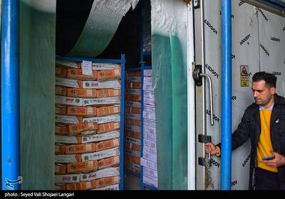  موجودی کالاهای اساسی کشور از زمان صلح هم بیشتر است - تسنیم