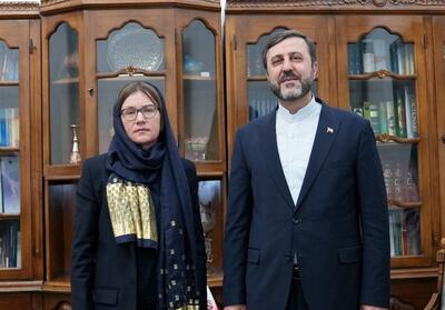  غریب آبادی: نمی‌توان برخی از دولت‌های همسایه را بی‌طرف محسوب کرد - تسنیم