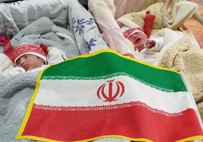  پویش «تولد به وقت امام رضا(ع)» در همدان اجرا شد - تسنیم