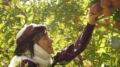  آغاز پخش سریال «مادران» از جمعه ۱۱ اردیبهشت در شبکه یک سیما