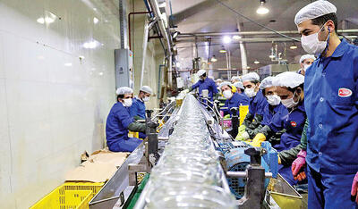  موتورهای تورمی محصولات غذایی