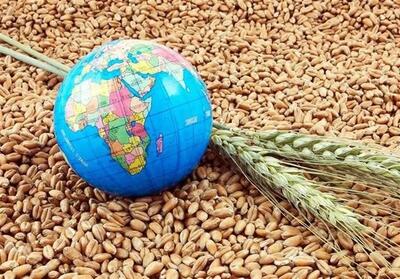  کشاورزی زیر آتش ژئوپلیتیک؛ ترامپ این‌بار امنیت غذایی جهان را هدف گرفته است