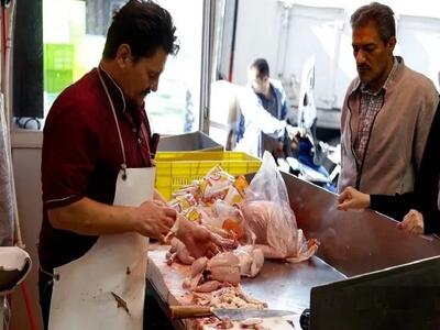  قیمت مرغ پنجشنبه ۱۰ اردیبهشت ۱۴۰۵