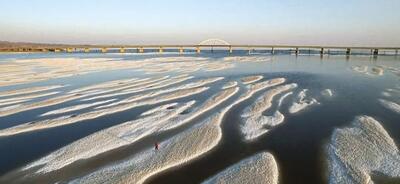  عمده حملات مناطق محیط‌زیستی به تالاب‌های ساحلی بود