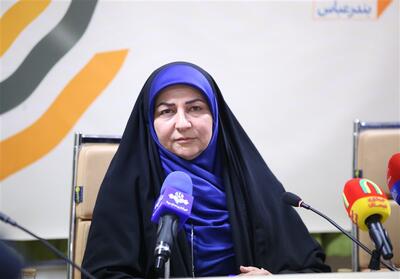  تولید 700 اثر فرهنگی و هنری در 60 روز جنگ توسط هنرمندان هرمزگان - تسنیم