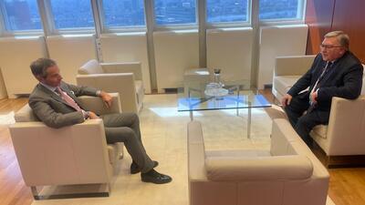  رایزنی اولیانوف با گروسی درباره ایران