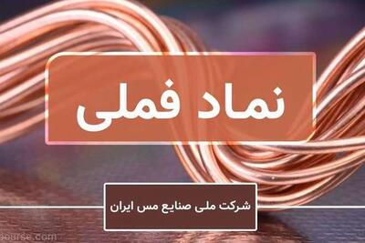  از فملی چه خبر؟