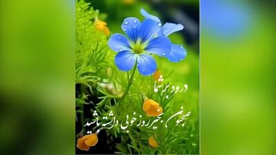  فال ابجد امروز 12 اردیبهشت 1405
