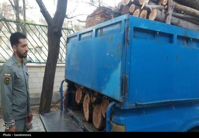  دستگیری قاچاقچیان چوب در بدر و پریشان؛ 3 تن چوب توقیف شد - تسنیم