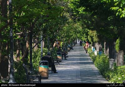 تداوم 7 روزه هوای قابل‌قبول در تهران - تسنیم