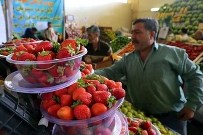  تاثیر غریب جنگ بر خوشمزگی و ارزانی میوه‌های امسال!