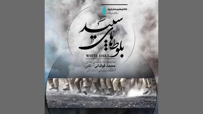  «بلوط‌های سپید» در گالری محیطی خانه هنرمندان ایران