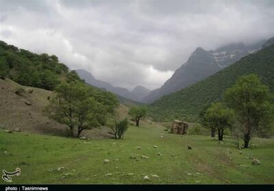  باران در زاگرس معادله آفات را تغییر داد - تسنیم