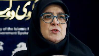  مهاجرانی: آغوش میهن همیشه برای ایرانیان خارج از کشور باز است